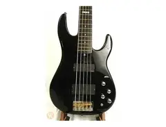 ESP LTD Surveyor-405 main image