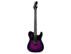 ESP LTD TE-200DX