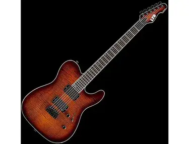 ESP LTD TE-401 FM