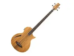 ESP LTD TL-4Z Fretless Hollowbody main image