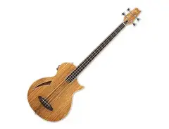 ESP LTD TL-4Z Hollowbody