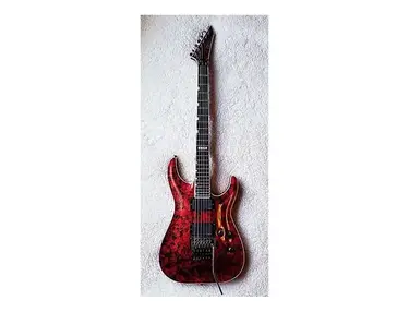 ESP Standard Horizon FR