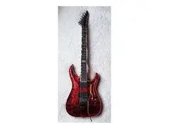 ESP Standard Horizon FR main image