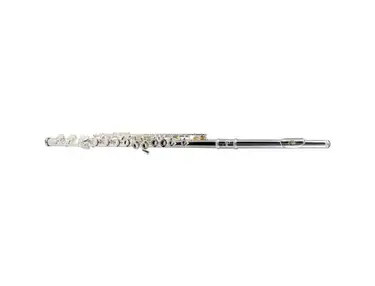 Etude EFL-200 Student Series Flute with Offset G, C-Foot