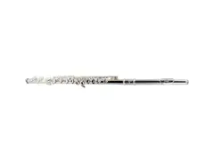 Etude EFL-200 Student Series Flute with Offset G, C-Foot main image