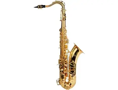 Etude ETS-200 Student Series Tenor Saxophone