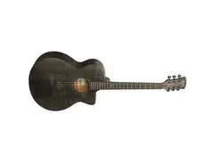 Faith Guitars FKV Naked Neptune main image