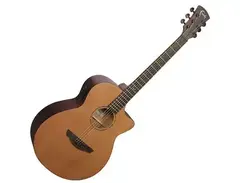 Faith Guitars FKVCD Naked Neptune Cedar main image