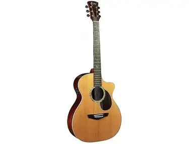 Faith Guitars PJE Legacy Series FG2HCE