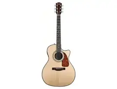 Fender CA-360SCE main image