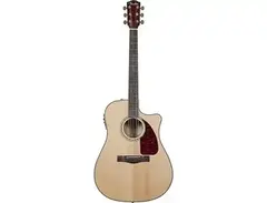 Fender CD-220SCE Ash main image