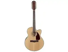 Fender CJ-290SCE-12 main image