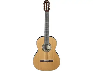 Fender CN-320AS