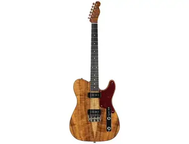 Fender Custom Shop Artisan P90 Telecaster