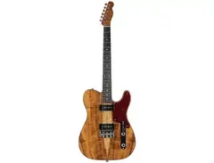 Fender Custom Shop Artisan P90 Telecaster main image