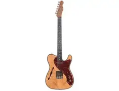 Fender Custom Shop Artisan Thinline Telecaster main image