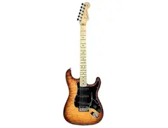 Fender Limited Edition American Professional Mahogany Stratocaster main image