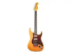 Fender Michael Landau Signature "Coma" Stratocaster main image