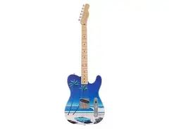 Fender MIJ Art Canvas Esquire main image