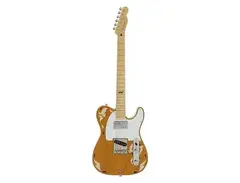 Fender MIJ Art Gallery Collection MHAK Telecaster main image