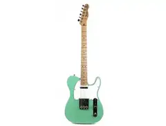 Fender MIJ Traditional 70s Telecaster Ash main image