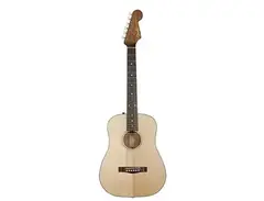 Fender Newporter Traveler main image