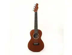 Fender Pa'ina Tenor Ukulele main image