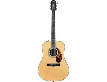 Fender PM-1 Limited Adirondack Spruce / Rosewood