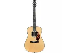 Fender PM-1 Limited Adirondack Spruce / Rosewood main image