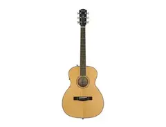 Fender PM-TE Standard main image