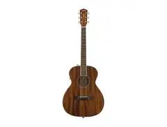 Fender PM-TE Standard All-Mahogany main image