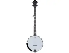 Fender Rustler Open-Back Banjo main image
