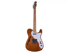 Fender TN-69 / TN-70 Thinline Telecaster Reissue MIJ main image