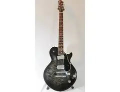 Fender US Signature Stevens LJ Custom main image