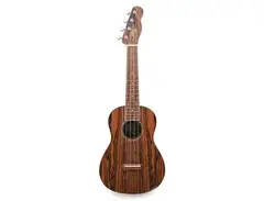 Fender Zuma Exotic Concert Ukulele main image