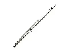 Gemeinhardt 2SH Conservatory Model Flute w/ C-Foot main image