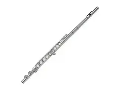 Gemeinhardt 2SP Straght-Headjoint Flute with Offset G main image