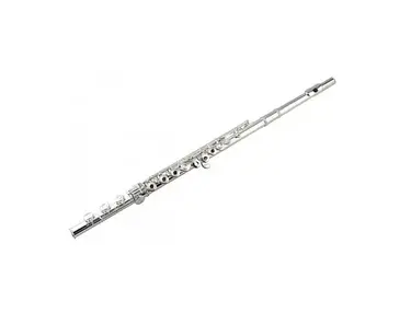 Gemeinhardt 3OSBNG1 New Generation Solid Silver Flute w/ Offset G, Low B-Foot