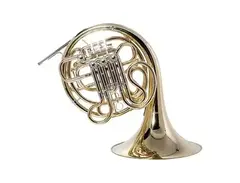 Giardinelli GFH-300 Double Horn main image