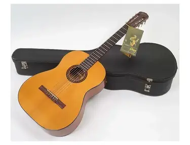 Gibson C-1D