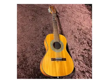 Gibson C-1S Classic
