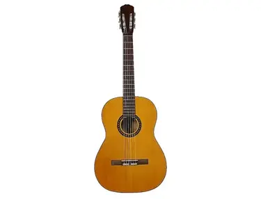Gibson C-2