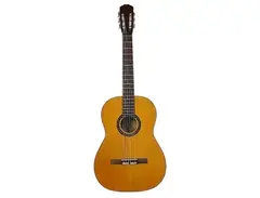 Gibson C-2 main image