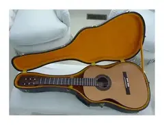 Gibson C-8 Grand Classic main image