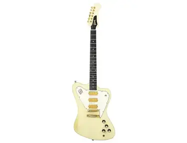Gibson Custom Shop Special Order Non-Reverse Firebird