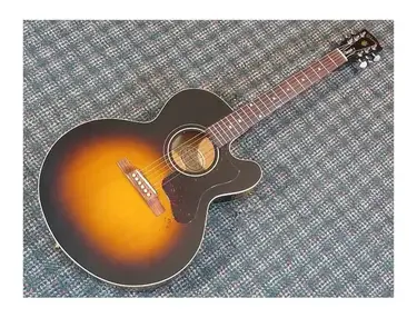 Gibson EAS Standard