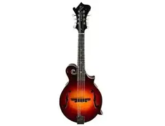 Gibson F-5G main image