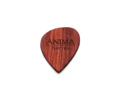 Anima Plectra Wood Small main image