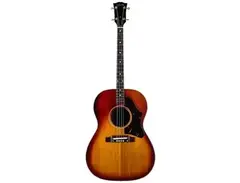 Gibson TG-25 main image