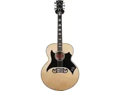 Gibson Tom Petty Signature SJ-200 Wildflower main image